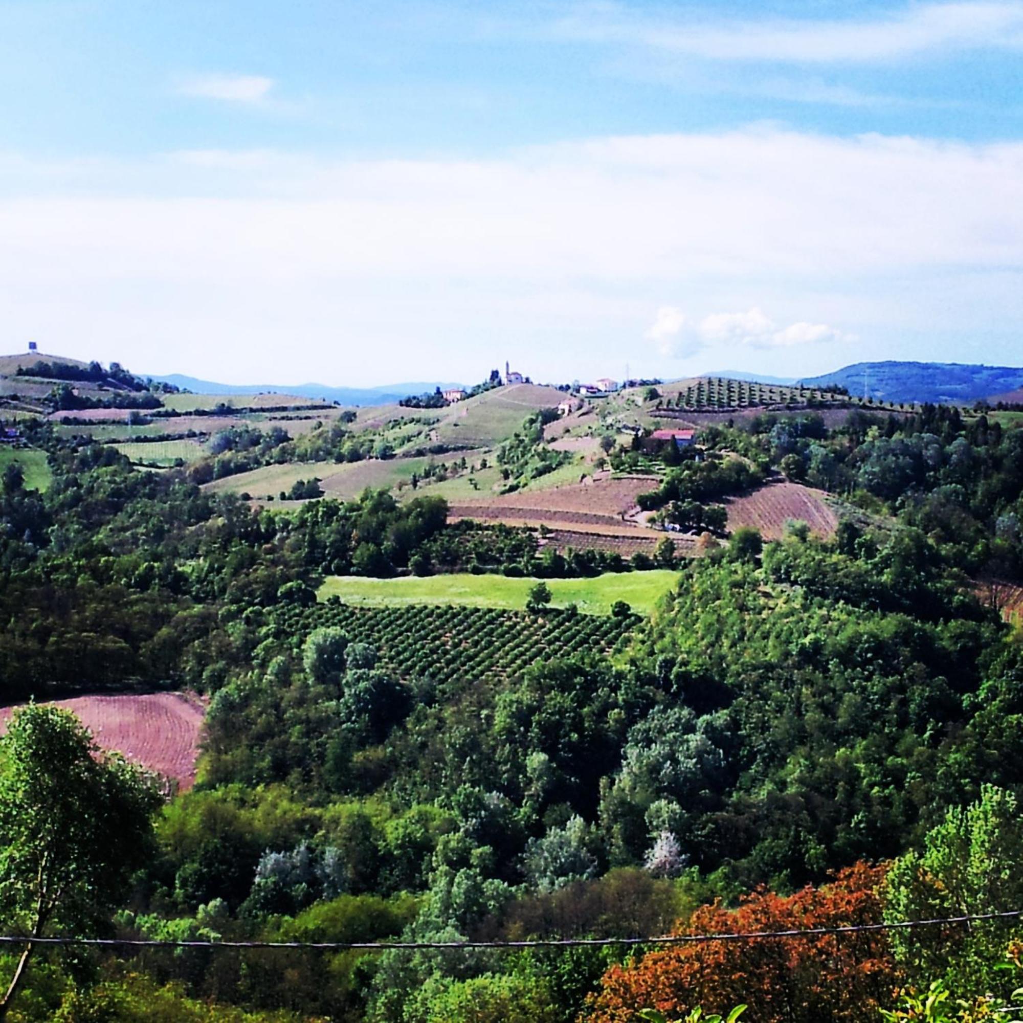 Bed And Breakfast Val D'Oche Castel Boglione Bagian luar foto